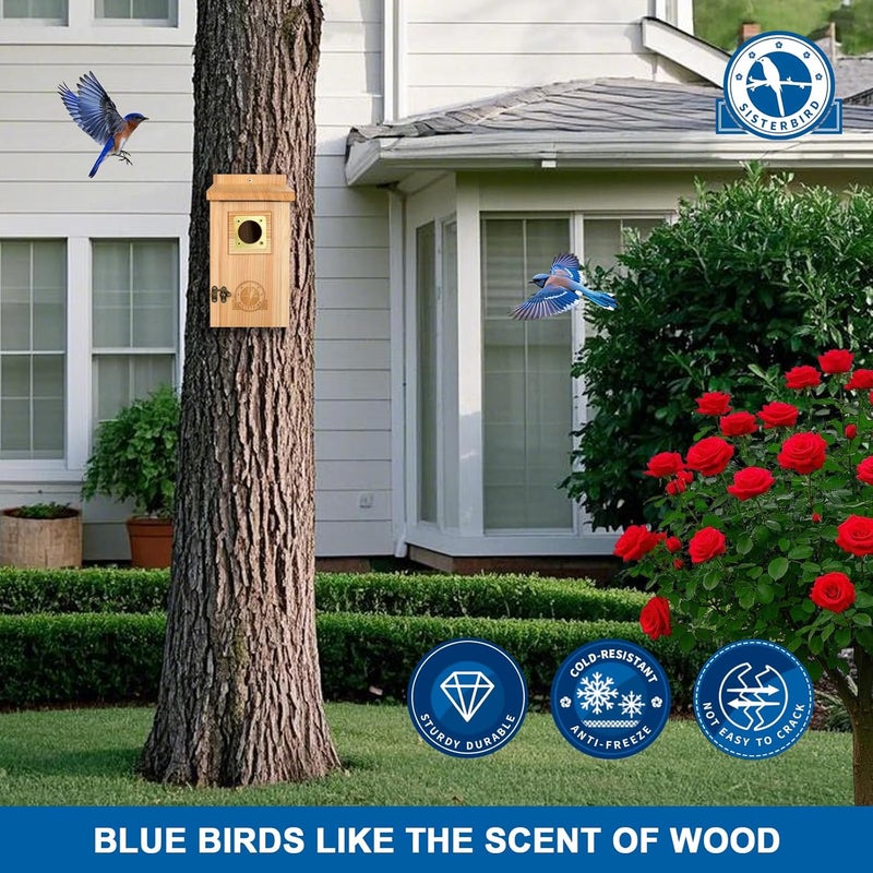 SISTERBIRD Bird Houses for Outside, Bluebird Houses for Outside, Wooden Birdhouses for Outdoors, Garden Decoration Bird House, Nesting Birdhouse, Bluebird Finch Swallow Wren Chickadee - Image 5